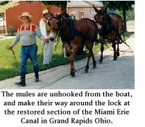 Mule being led round the Lock in Grand Rapids, Ohio