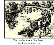 Two mules towing a line boat