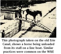 Unloading a mule